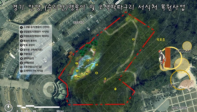 병목안시민공원 맹꽁이 오색딱따구리 서식처 복원사업 기본계획도 (안양시 제공)