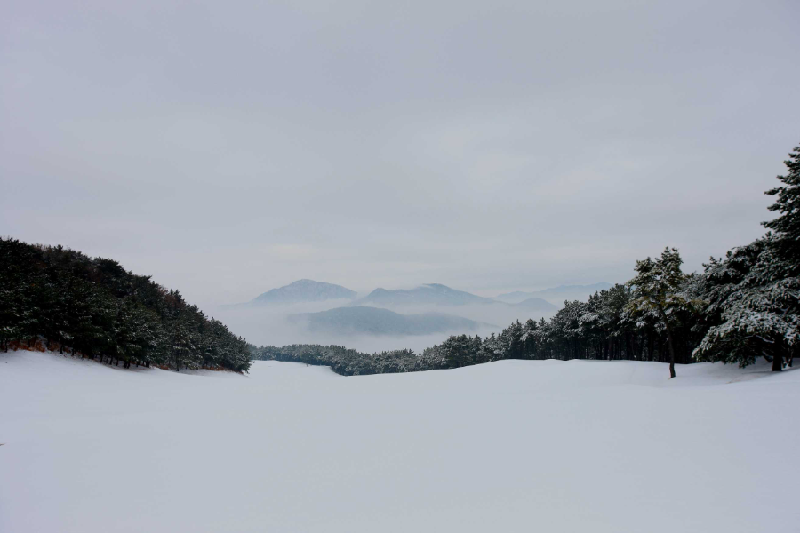 가야CC의 겨울