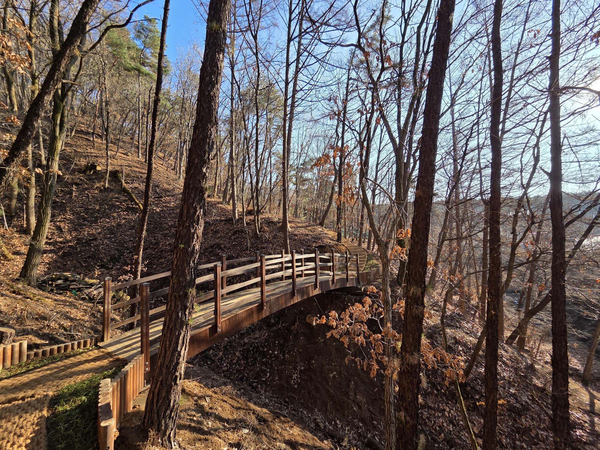 숲 훼손 줄이고 걷는 맛 살린 친환경 검단산 둘레길 개통