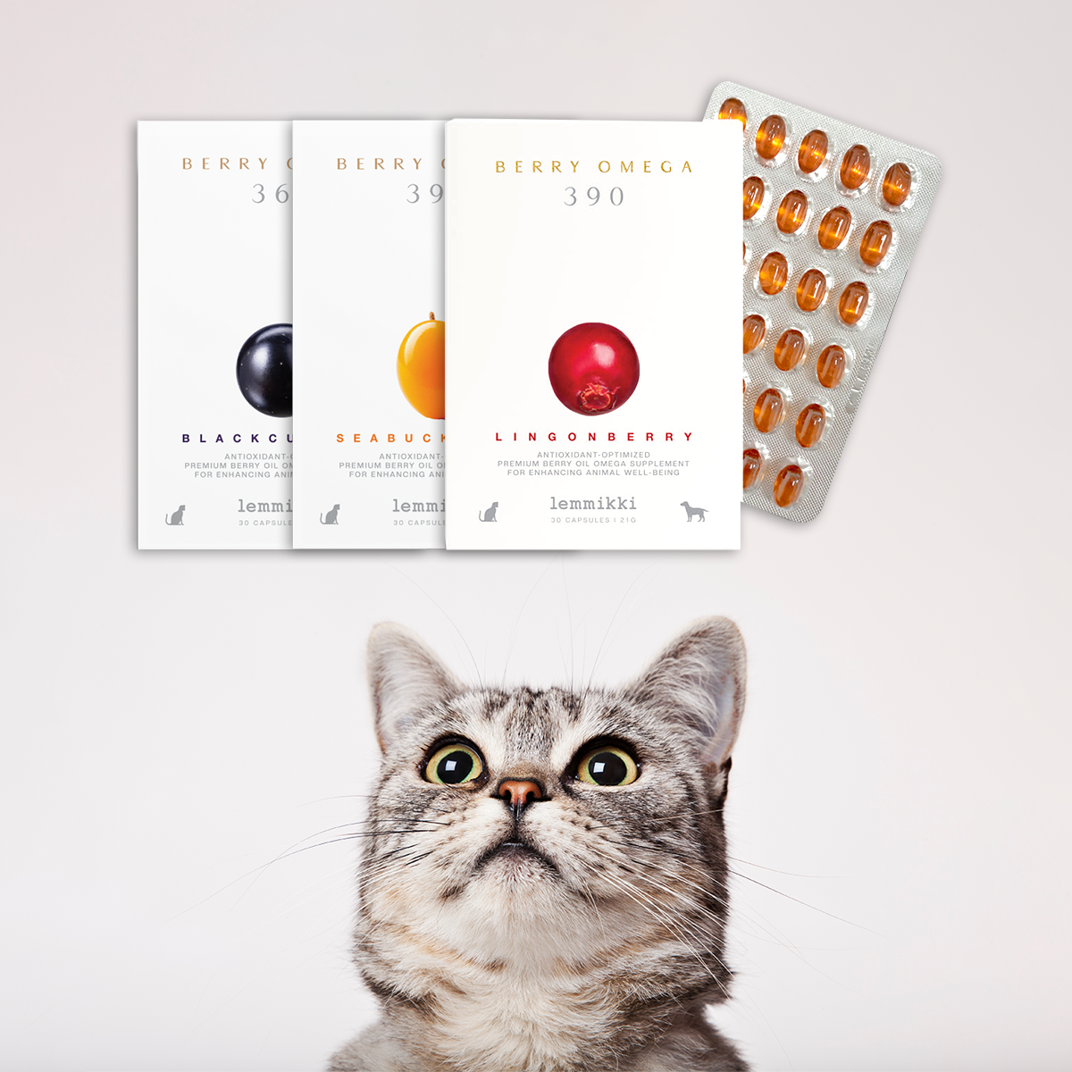 반려동물 영양제, 식물성 원료가 새로운 선택지로 부상