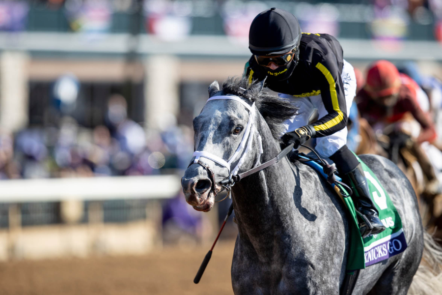 혈통이 역사를 만든다... 제2의 메니피 꿈꾸는'닉스고' - 뉴스 썸네일 이미지