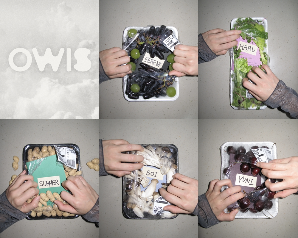 '이해인 제작' OWIS, 세린·하루·썸머·소이·유니 5인 체제 공식화…3월 데뷔 예열