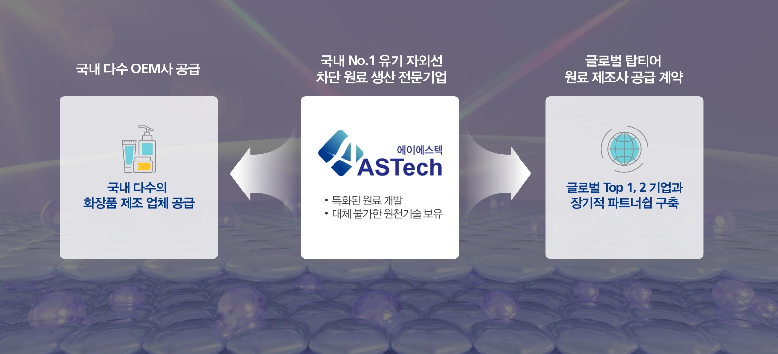 포지셔닝 전략(출처=에이에스텍 IR자료)