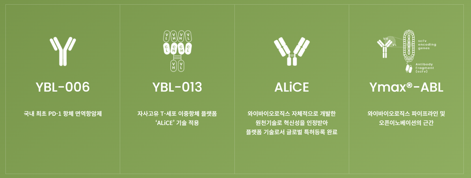 사진=와이바이오로직스 홈페이지