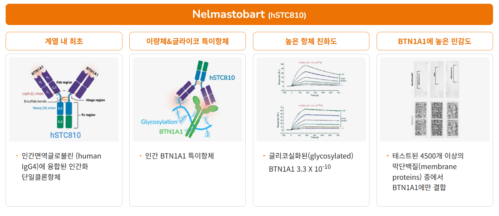 (자료=에스티큐브 홈페이지)