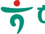 본문 사진
